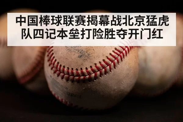home run baseball